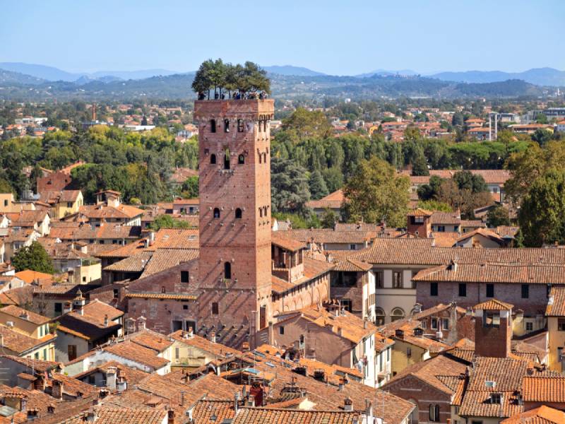 Guinigi Tower in Lucca